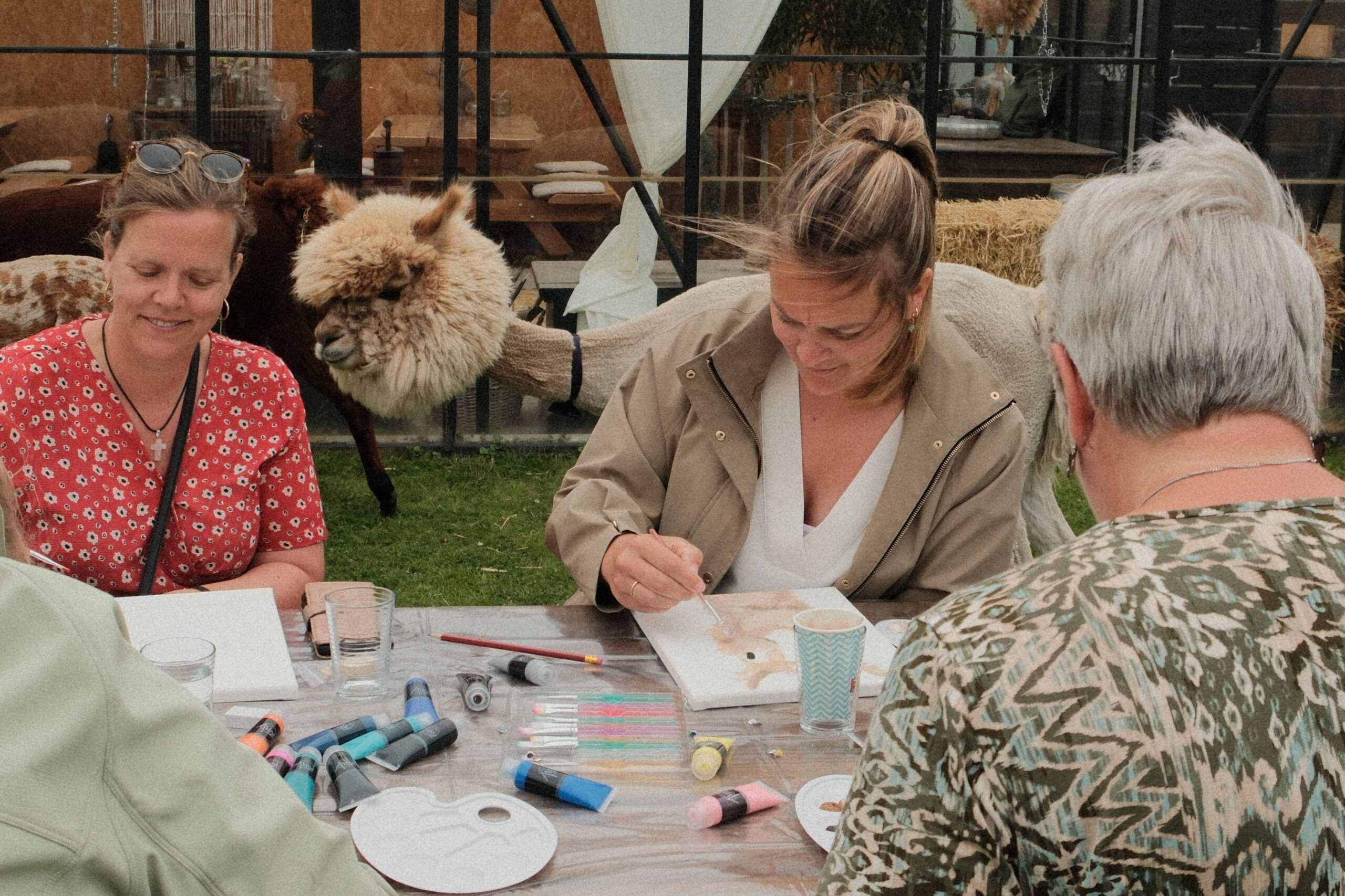 Zomerweek voor volwassenen goed ontvangen in Zuidplas